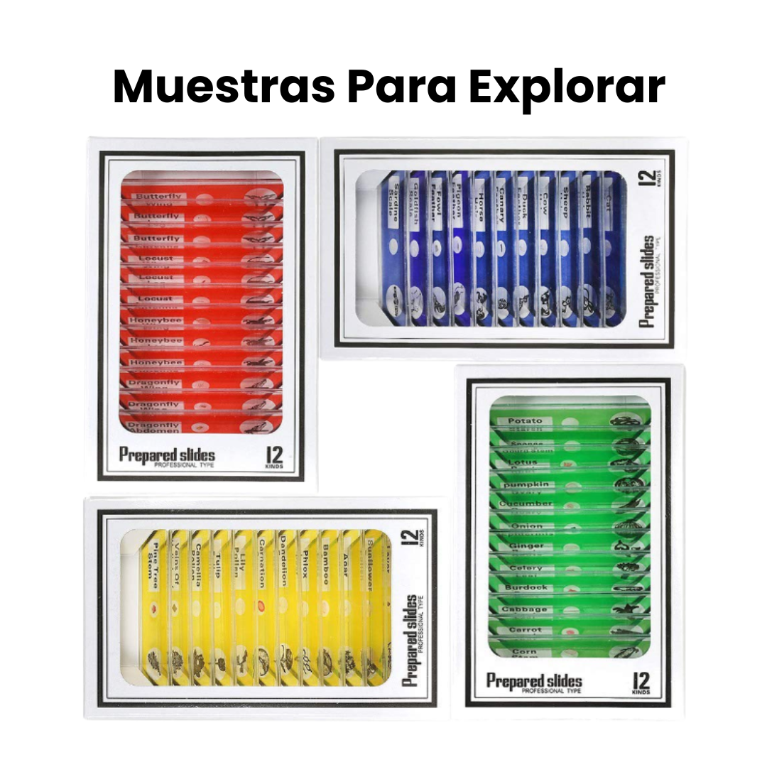 Pack Muestras para Explorar
